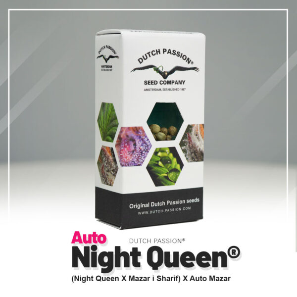 Auto-Night-Queen-Autoflower-Dutch-Passion-seed-company